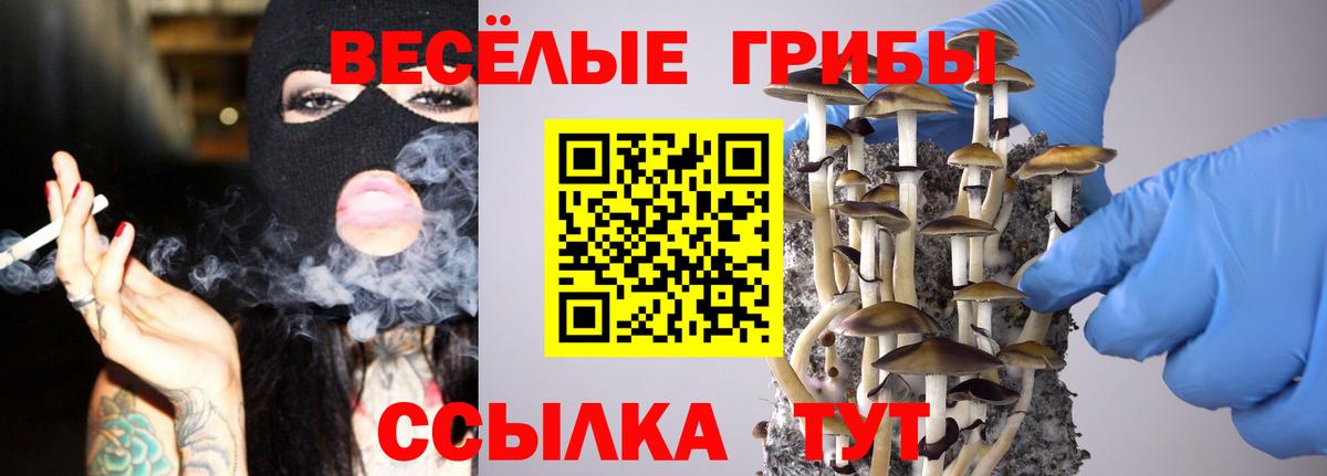 Галлюциногенные грибы Cubensis  купить  сайты  Псилоцибиновые грибы GOLDEN TEACHER  Сызрань  Вход с VPN 